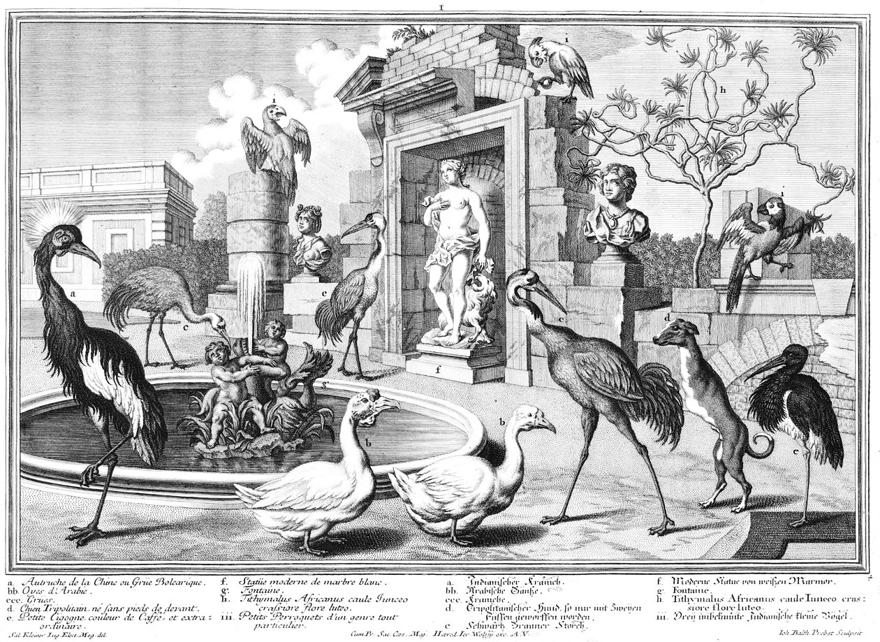 Grues et canards - Salomon Kleiner