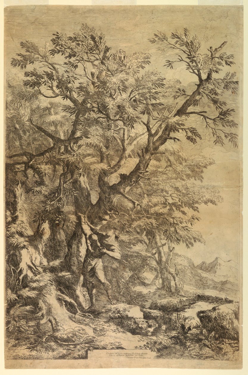 Œdipe exposé sur le mont Cithéron - Salvator Rosa