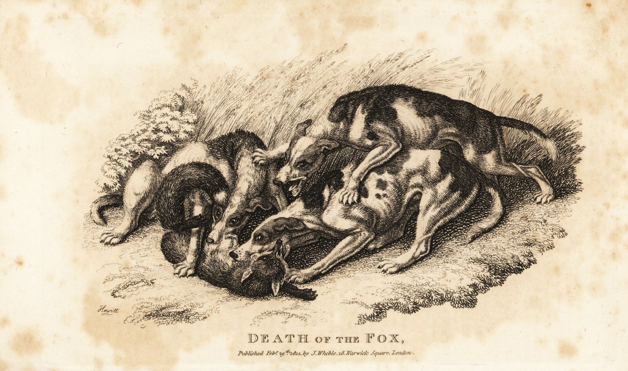 Mort du renard - Samuel (after) Howitt