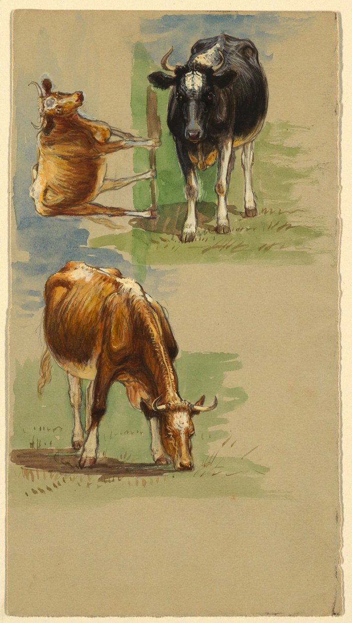 Dessin, bétail, bœufs, 1875-80 - Samuel Colman