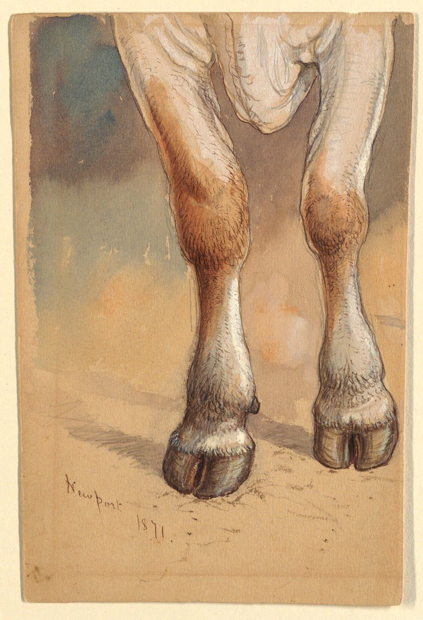 Dessin, Études d