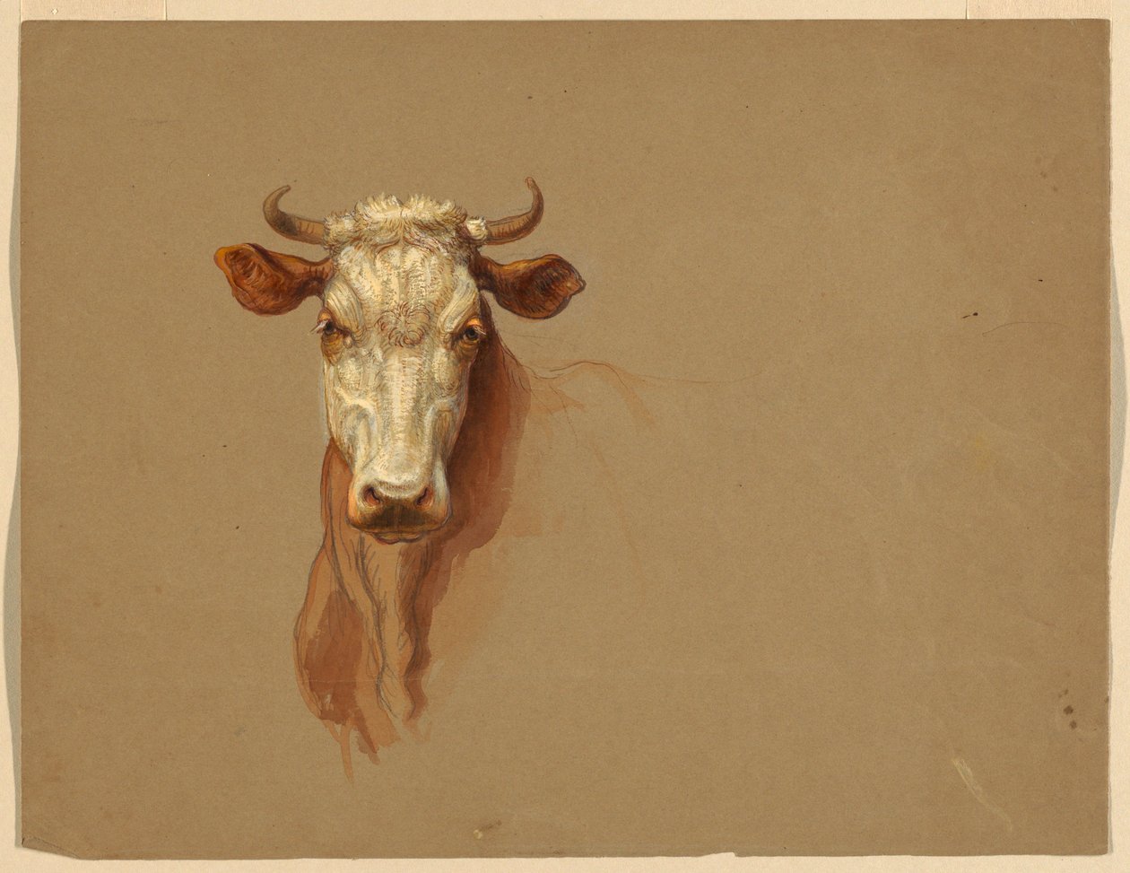 Dessin, deux études.  Bétail, 1876 - Samuel Colman
