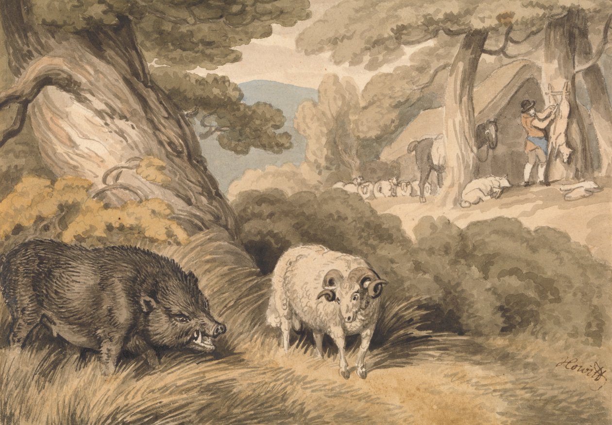 Un sanglier et un bélier - Samuel Howitt