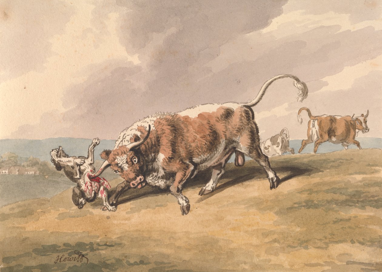 Un taureau attaquant un chien - Samuel Howitt