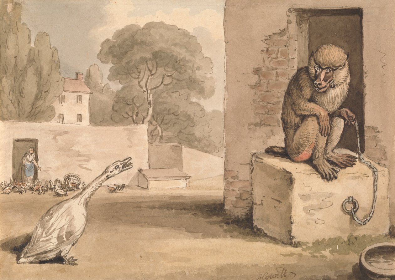 Une oie et un babouin - Samuel Howitt