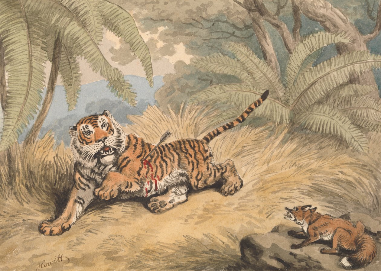 Un tigre transpercé par une flèche - Samuel Howitt