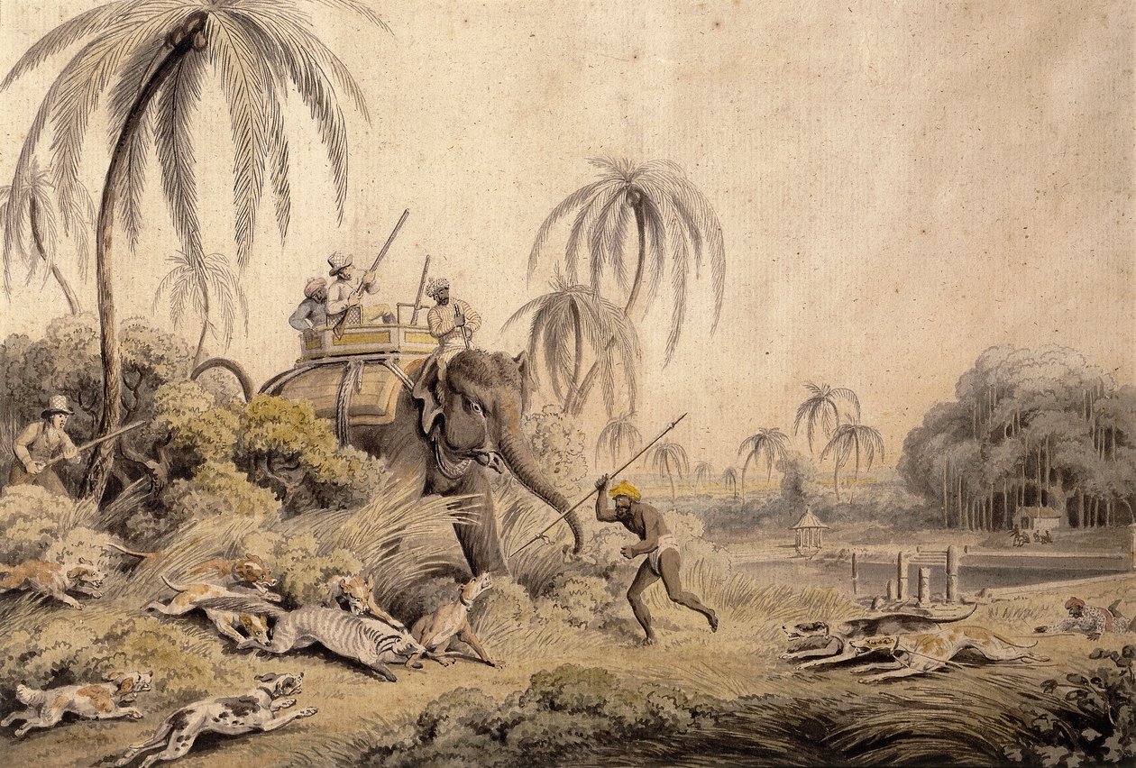 Chasse au Kuttauss ou Chat Civet - Samuel Howitt