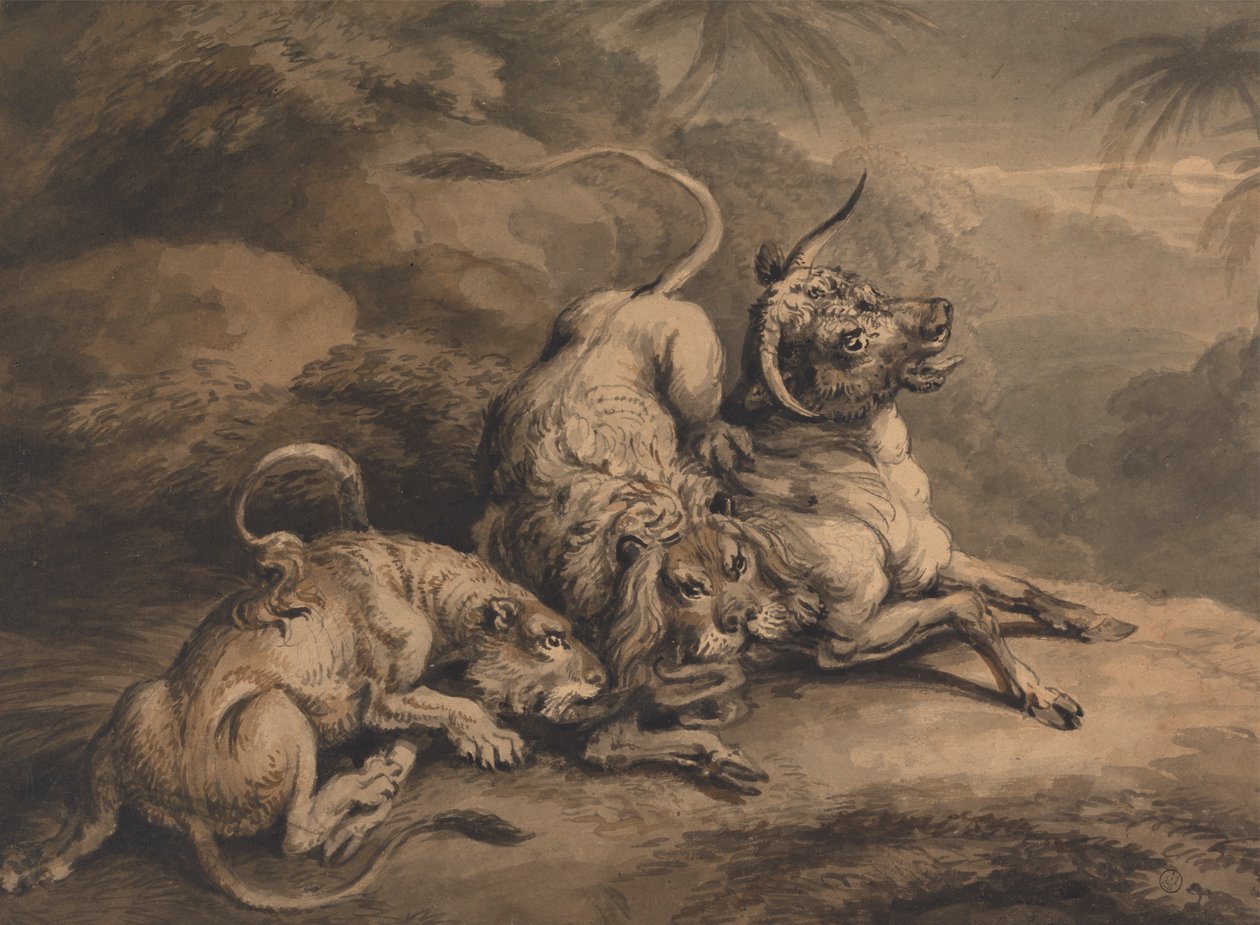 Lion et lionne attaquant un bouvillon - Samuel Howitt