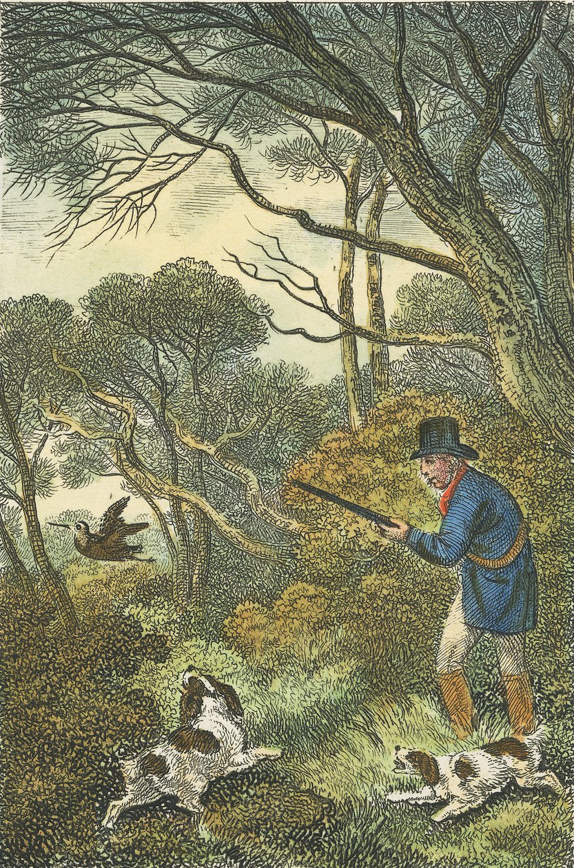 Chasse à la bécasse, 1819 - Samuel Howitt