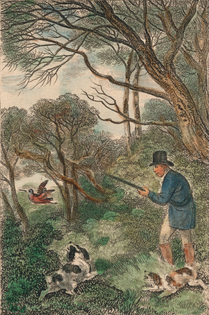 Chasse à la bécasse, 1819 - Samuel Howitt