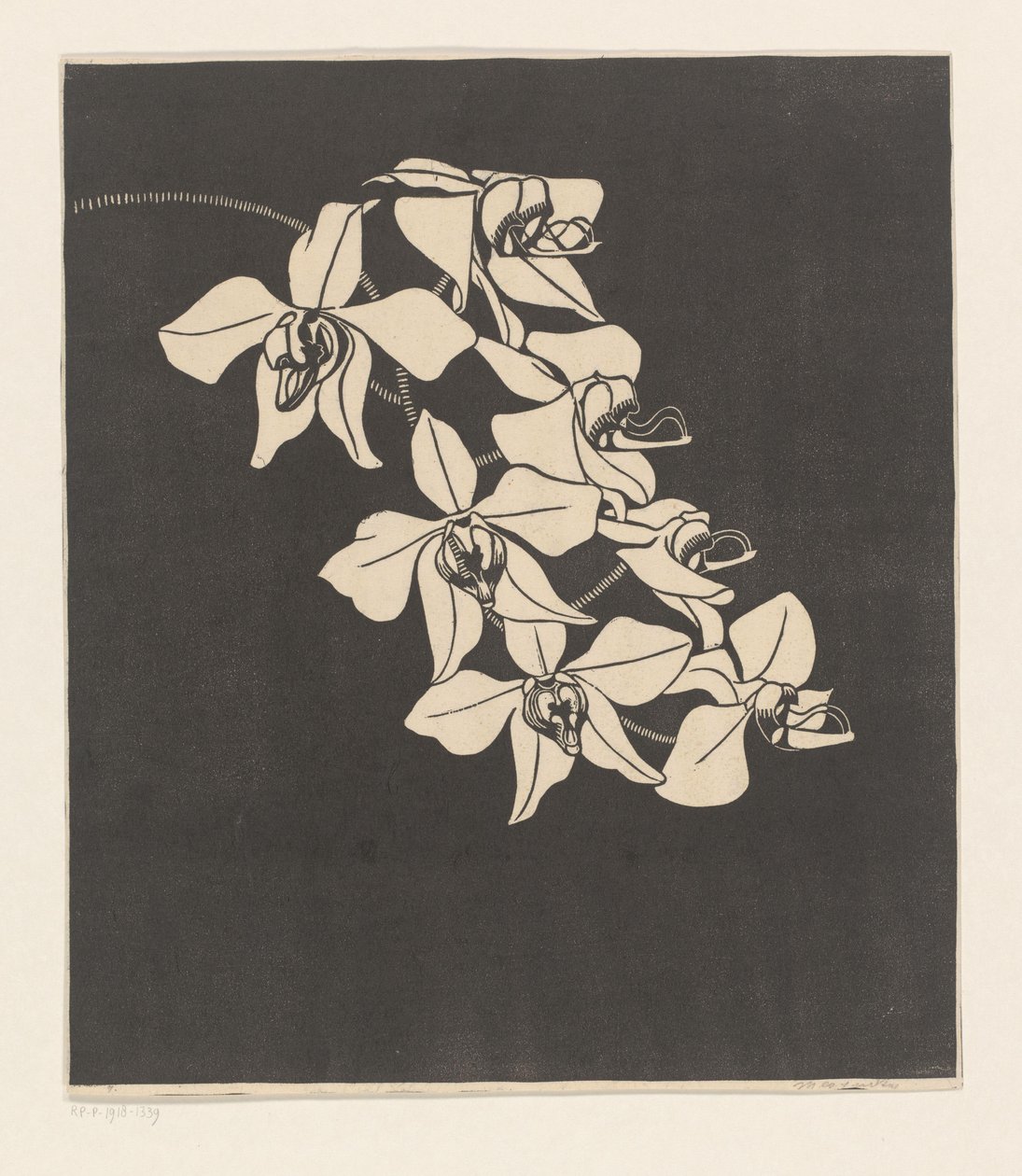Orchidées - Samuel Jessurun de Mesquita (signed by artist)