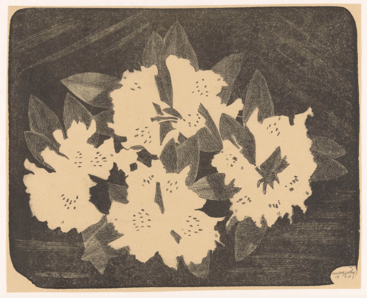 Rhododendron - Samuel Jessurun de Mesquita (signed by artist)