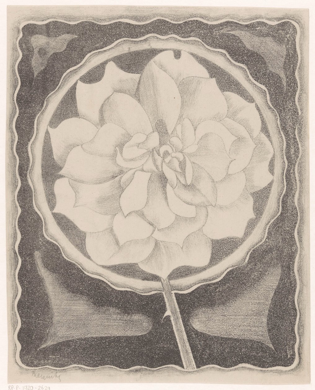 Rose - Samuel Jessurun de Mesquita (signed by artist)