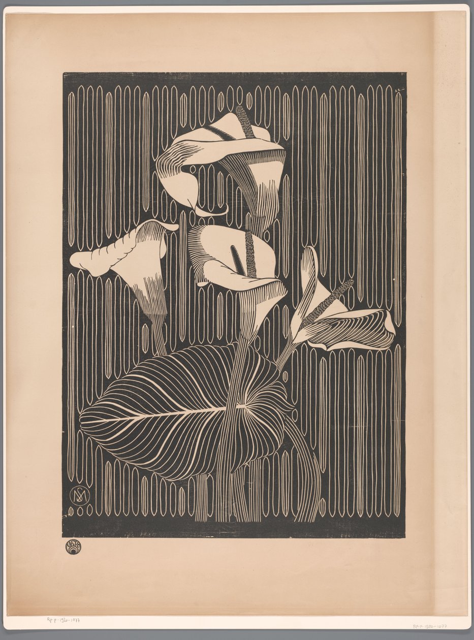 Arums - Samuel Jessurun de Mesquita