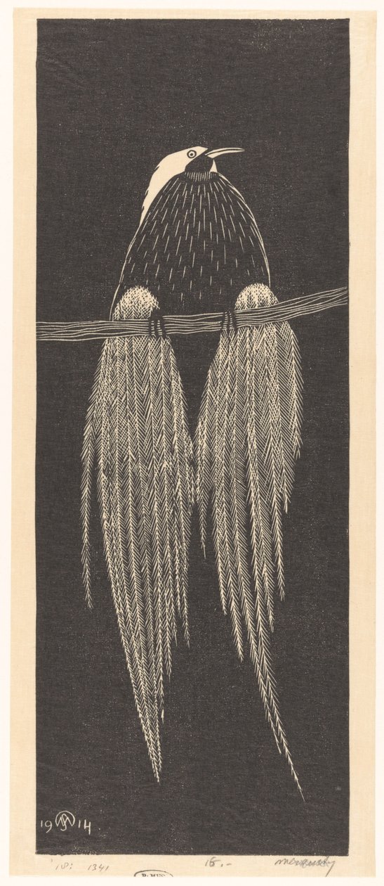 Oiseau de paradis - Samuel Jessurun de Mesquita