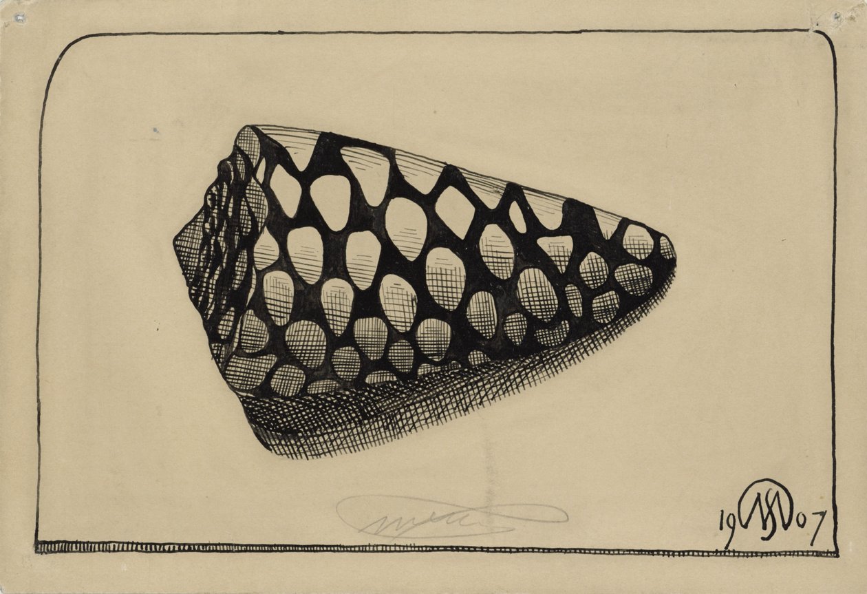Coquillage, vers la droite - Samuel Jessurun de Mesquita