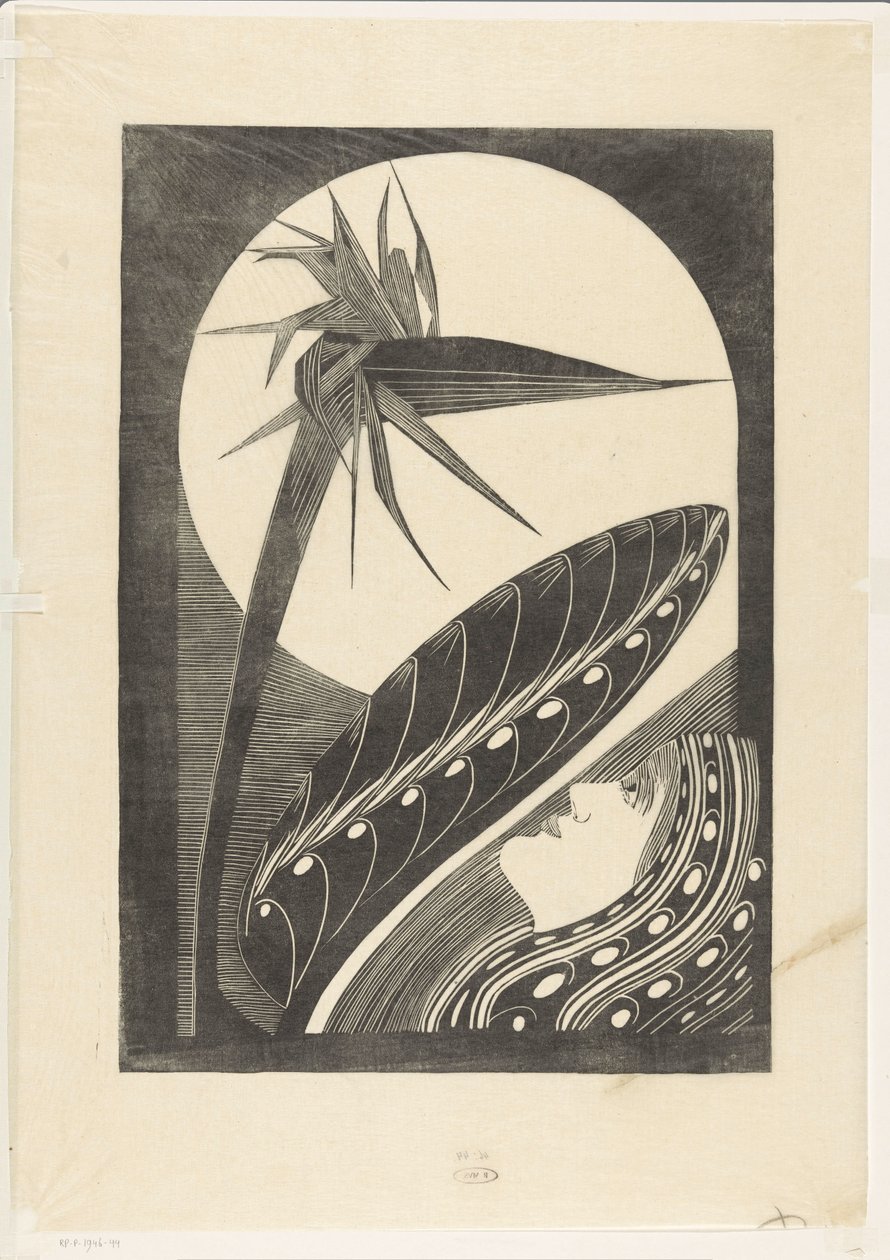 Strelitzia fanée - Samuel Jessurun de Mesquita