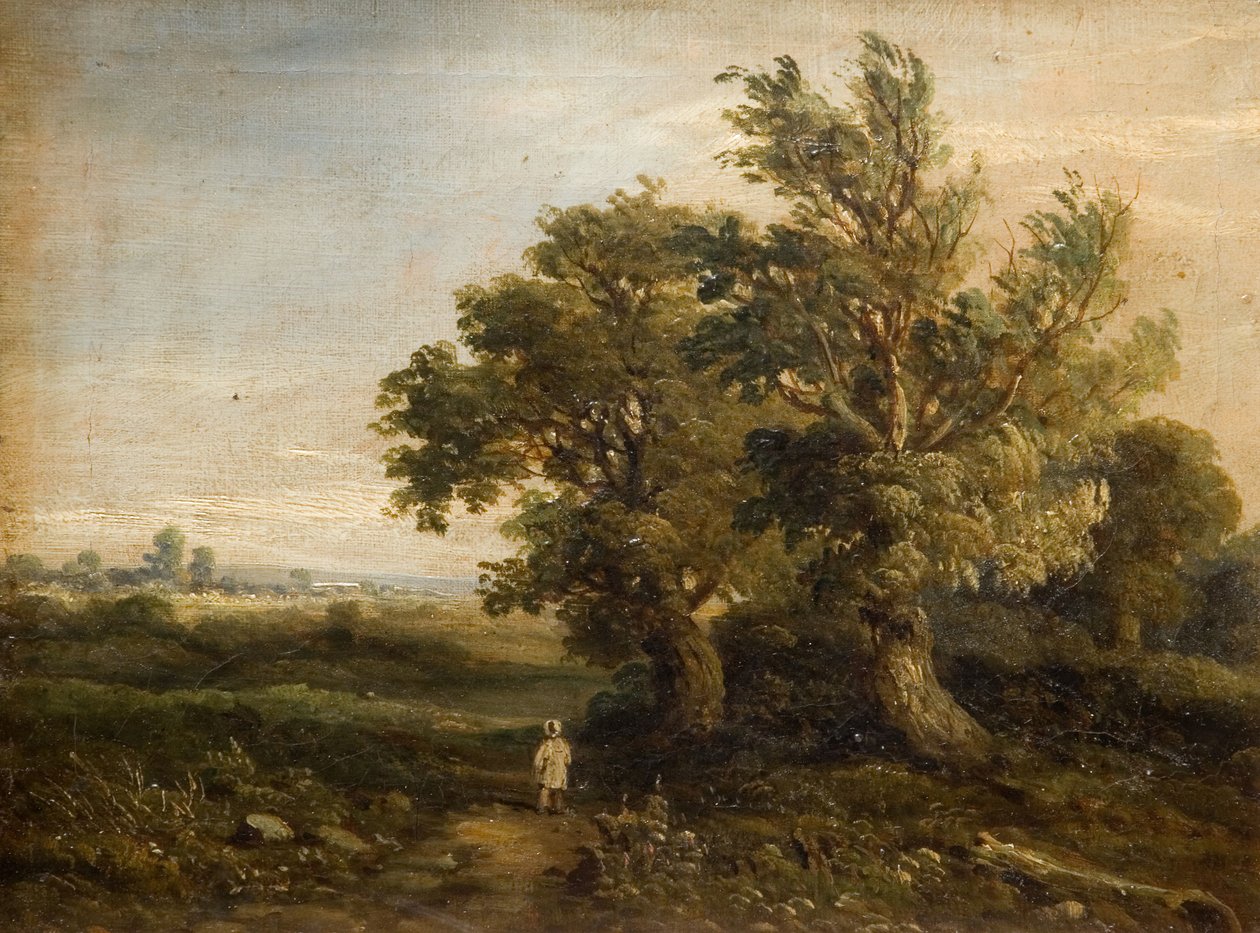 Paysage avec Arbres, 1863 - Samuel Restell Lines