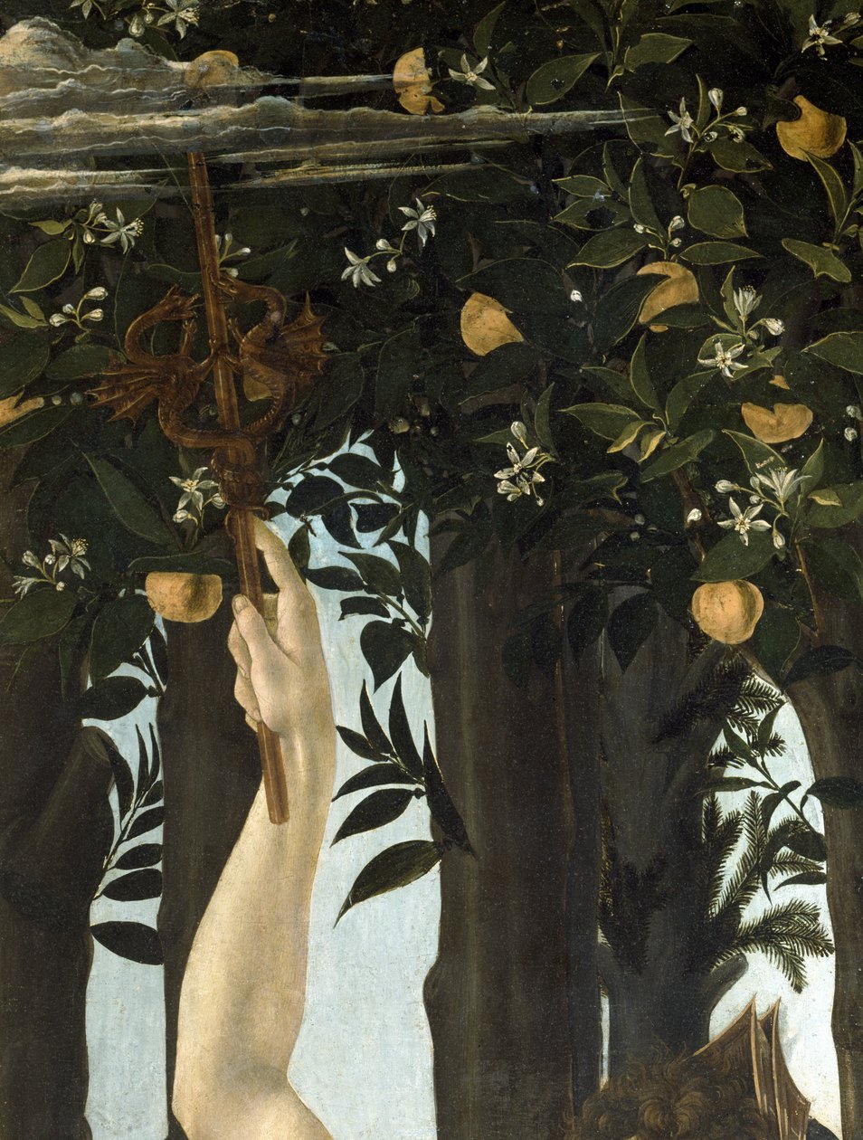 Le Printemps, c.1478 (détail) - Sandro Botticelli
