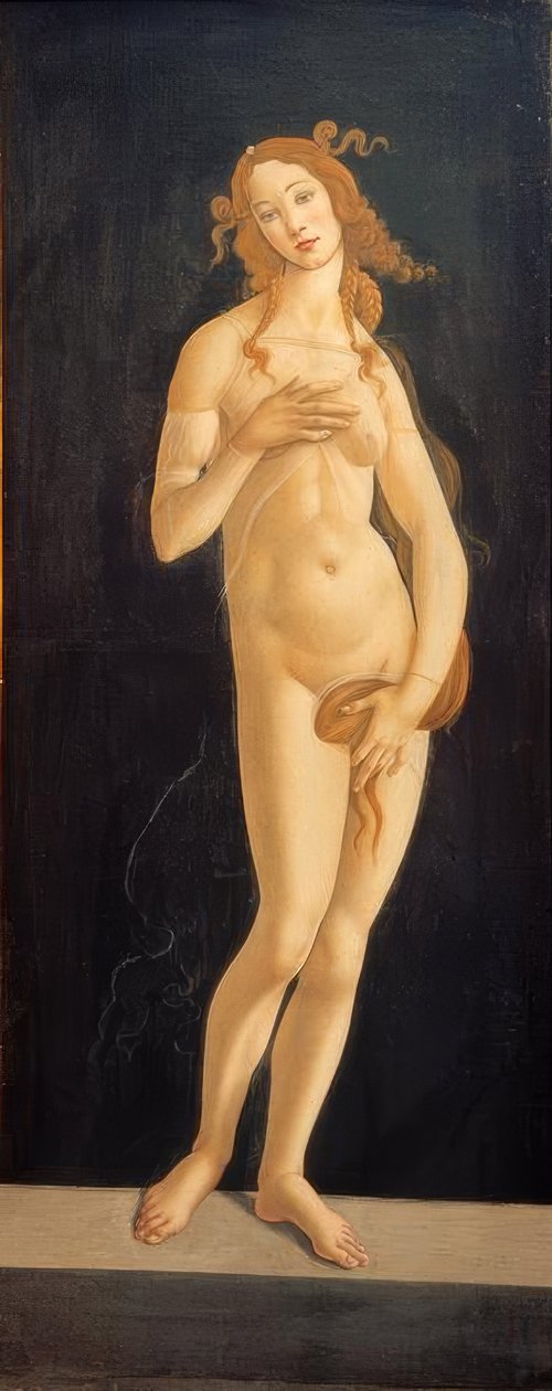 Vénus - Sandro Botticelli