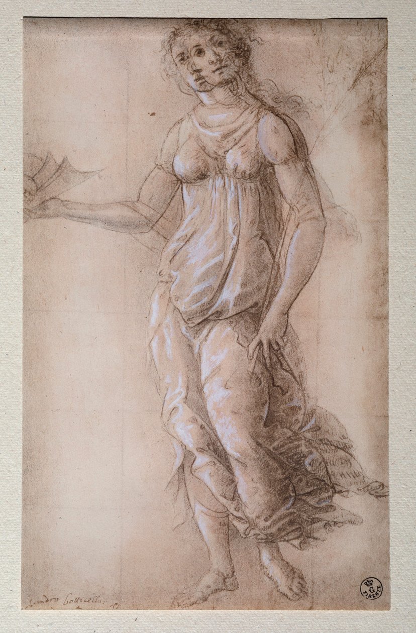 Pallas - Sandro Botticelli