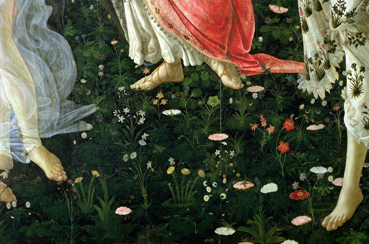 Primavera : détail des fleurs - Sandro Botticelli