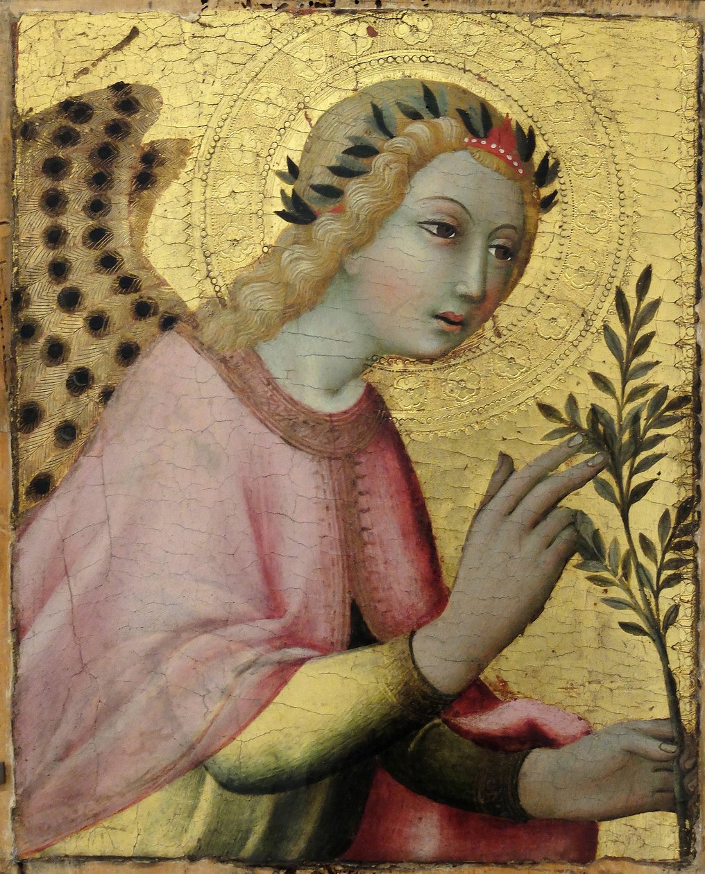 Ange de l