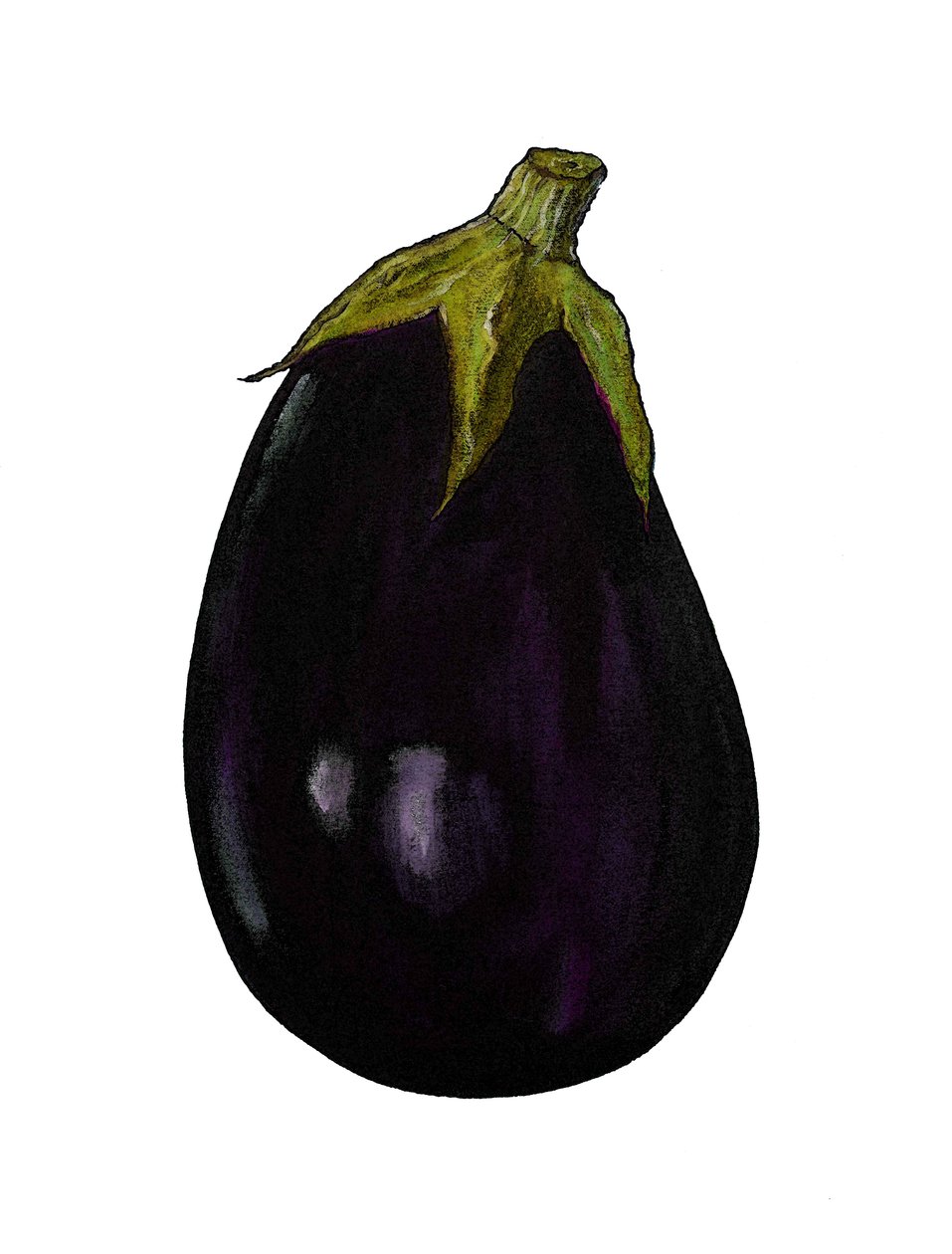Aubergine violette - Sarah Thompson Engels