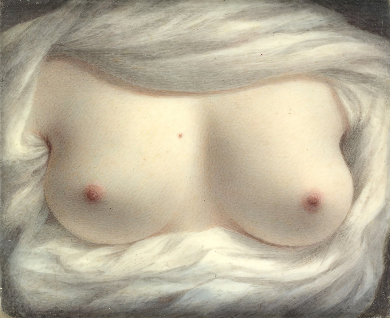 Beauté révélée, 1828 - Sarah Goodridge