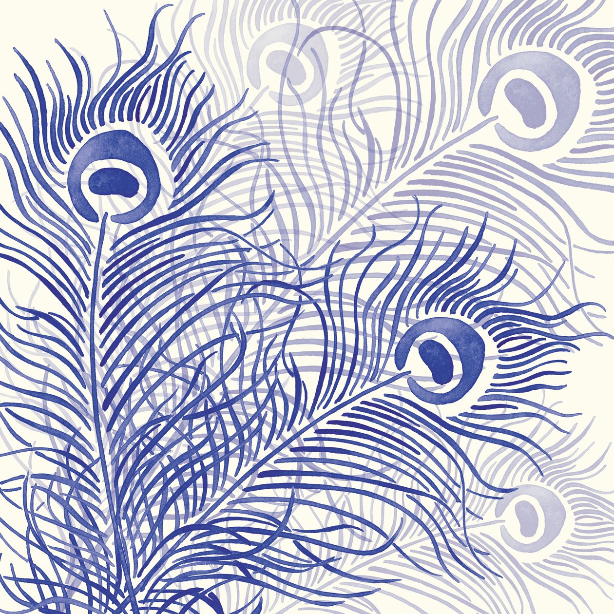Parade de Paon, 2004 - Sarah Hough