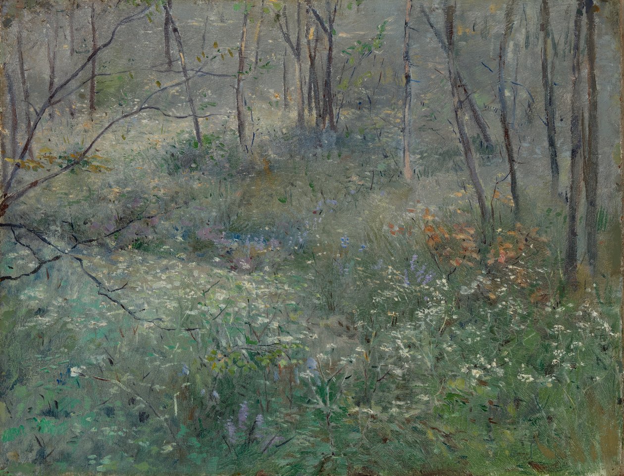 Persil sauvage, 1900 - Sarah Paxton Ball Dodson