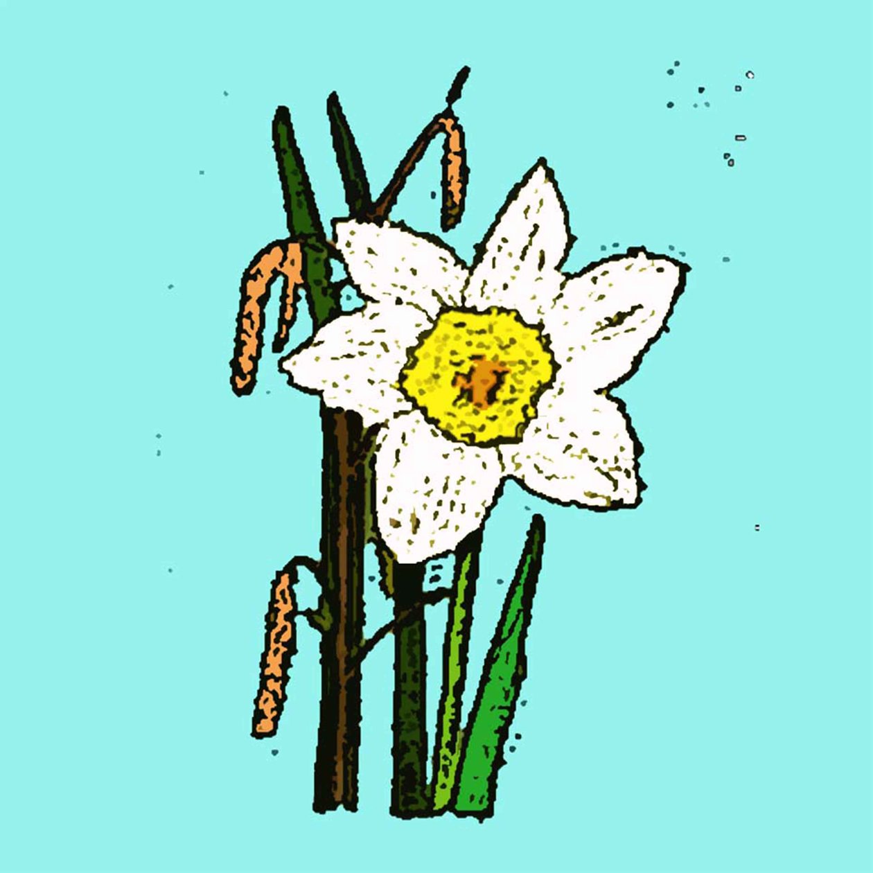 Jonquilles, 2015 - Sarah Thompson Engels