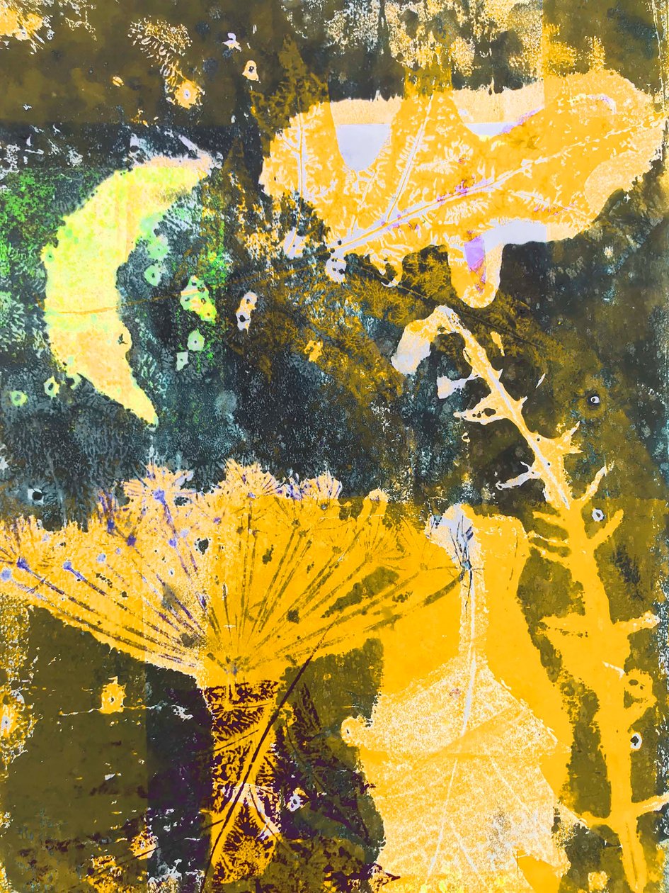 Lune jaune - Sarah Thompson Engels