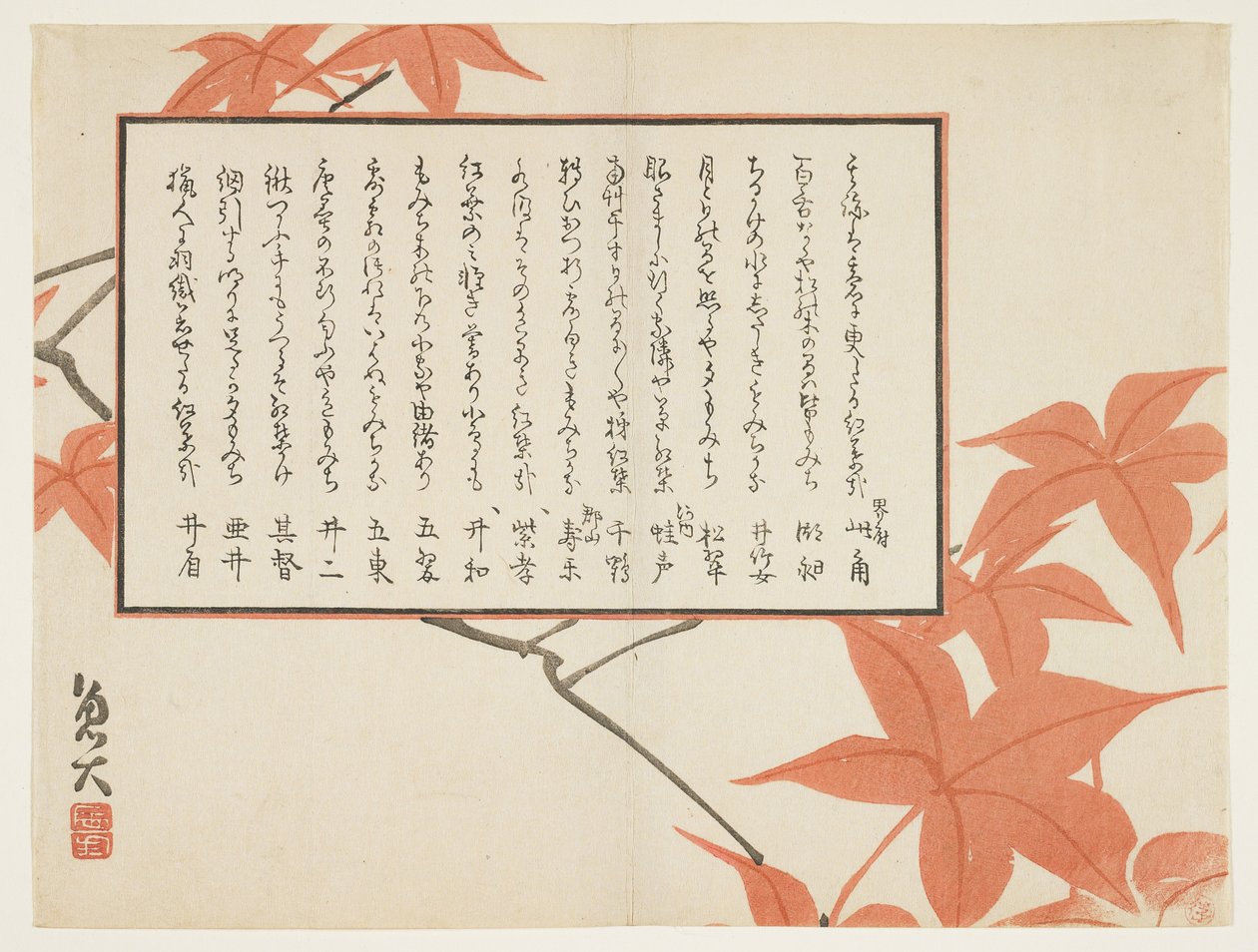 Feuilles d
