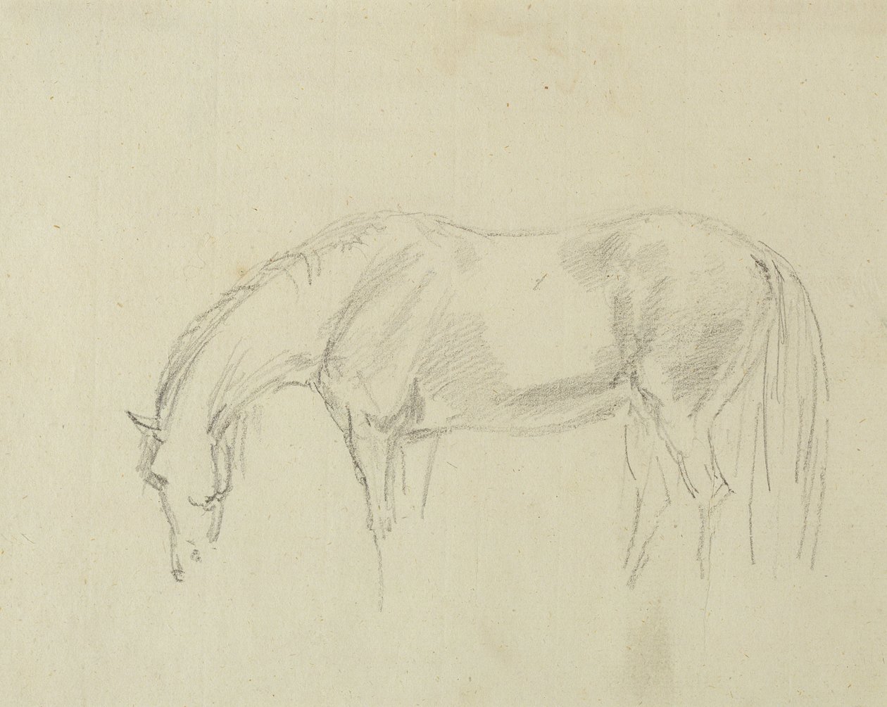 Un cheval broutant - Sawrey Gilpin