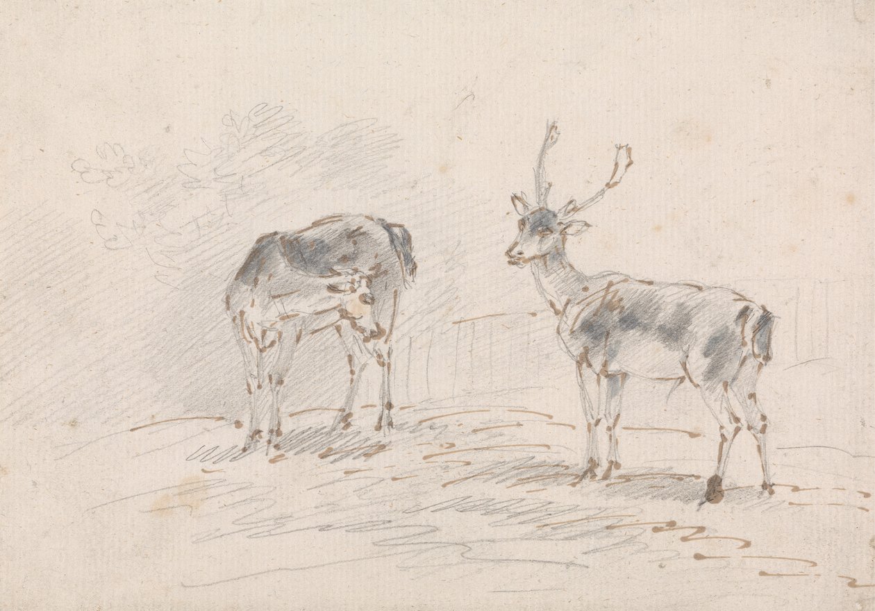 Biche et cerf - Sawrey Gilpin