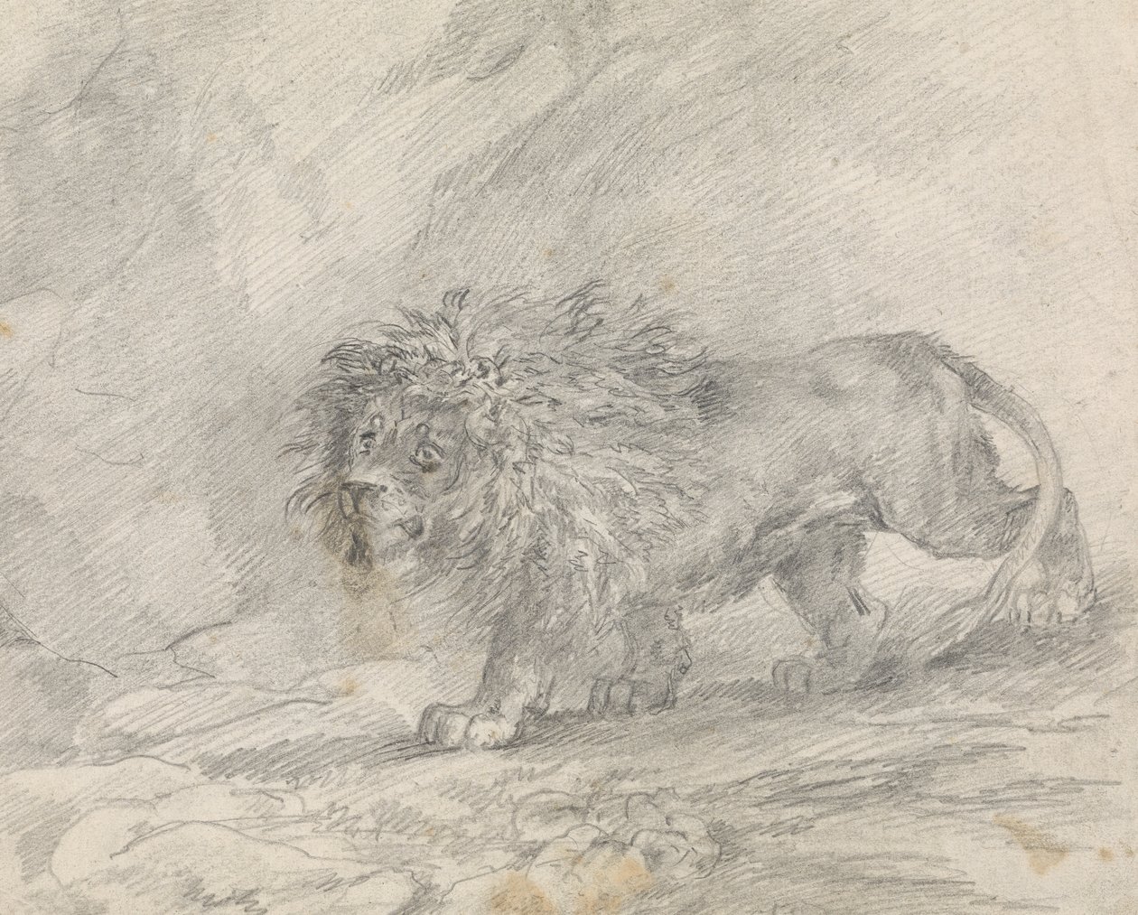 Lion marchant dans un paysage rocheux - Sawrey Gilpin