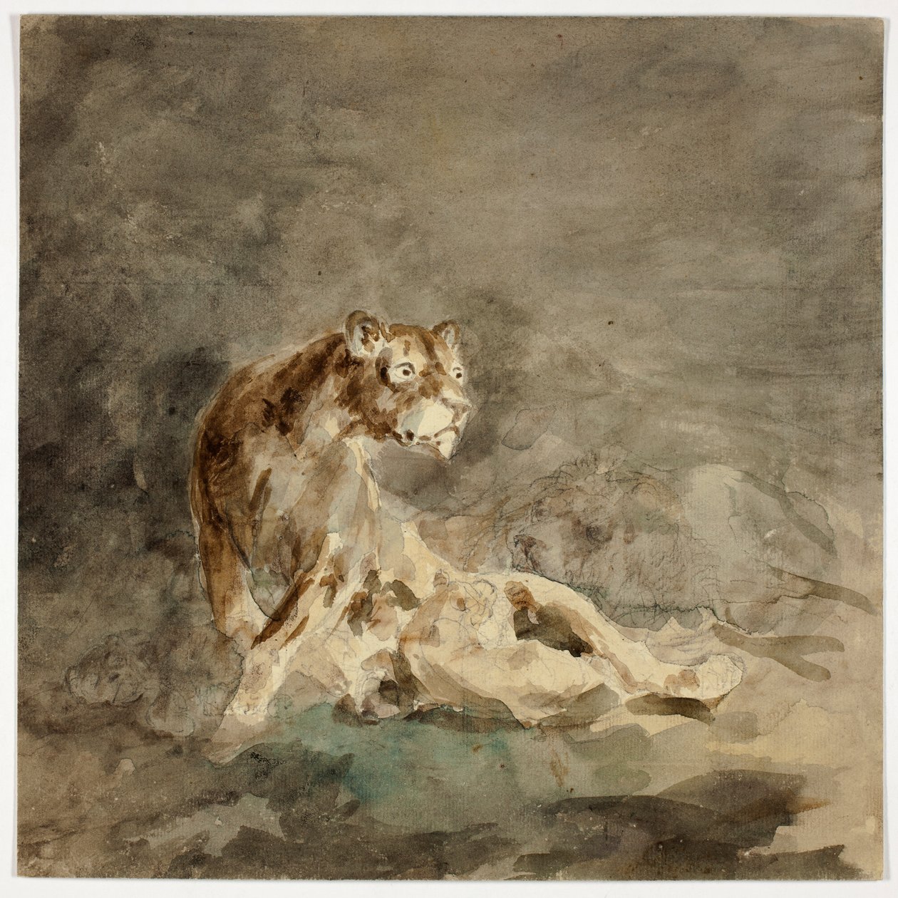 Lionne avec sa famille - Sawrey Gilpin