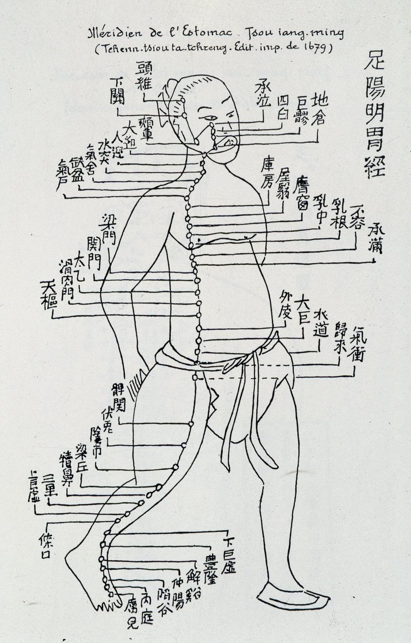 Acupuncture : « Méridien de l