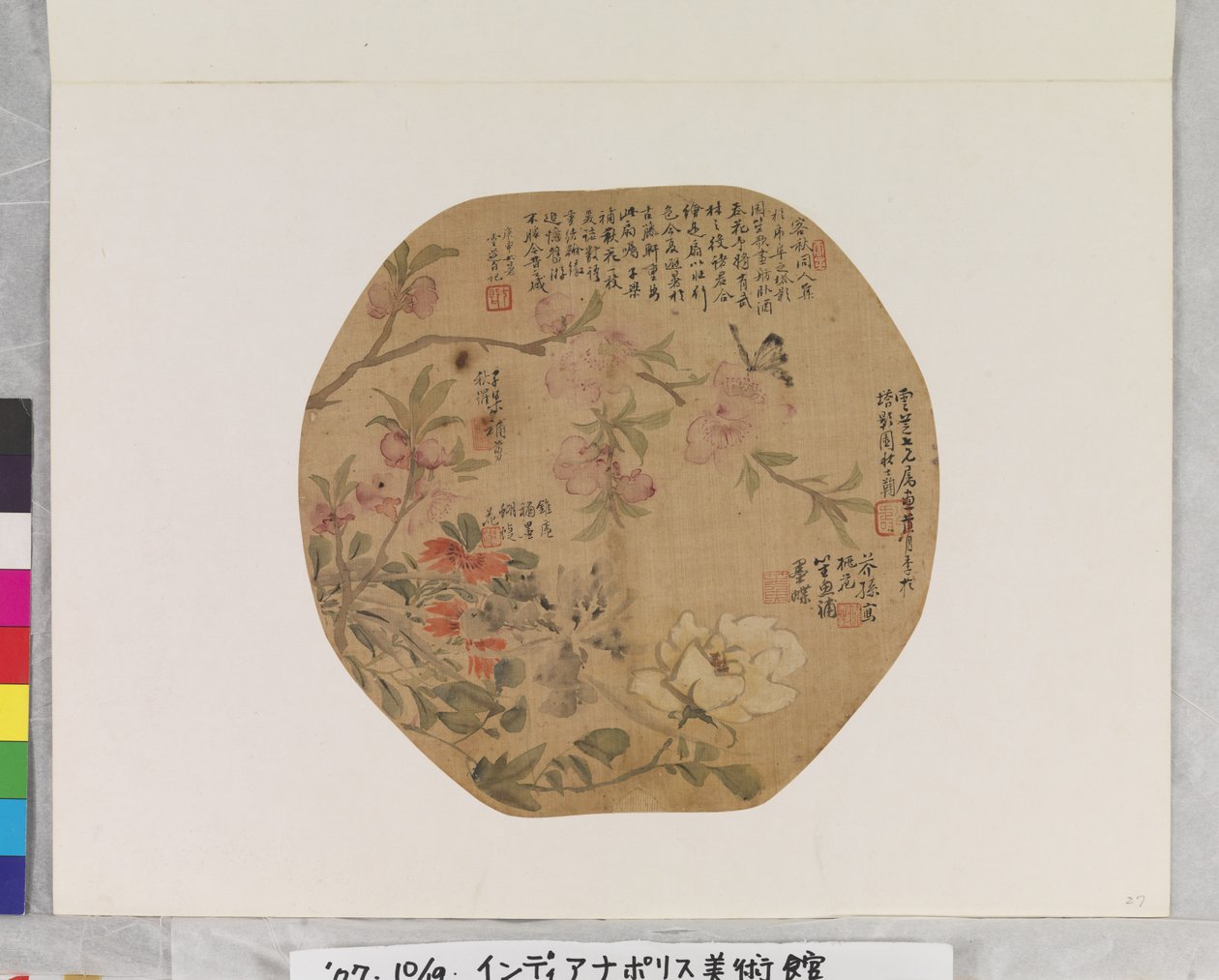 Fleurs et papillon - School Chinese