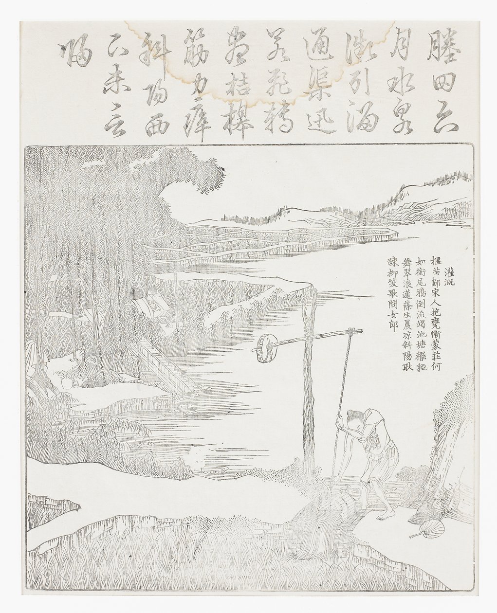 Irrigation de la rizière - School Chinese