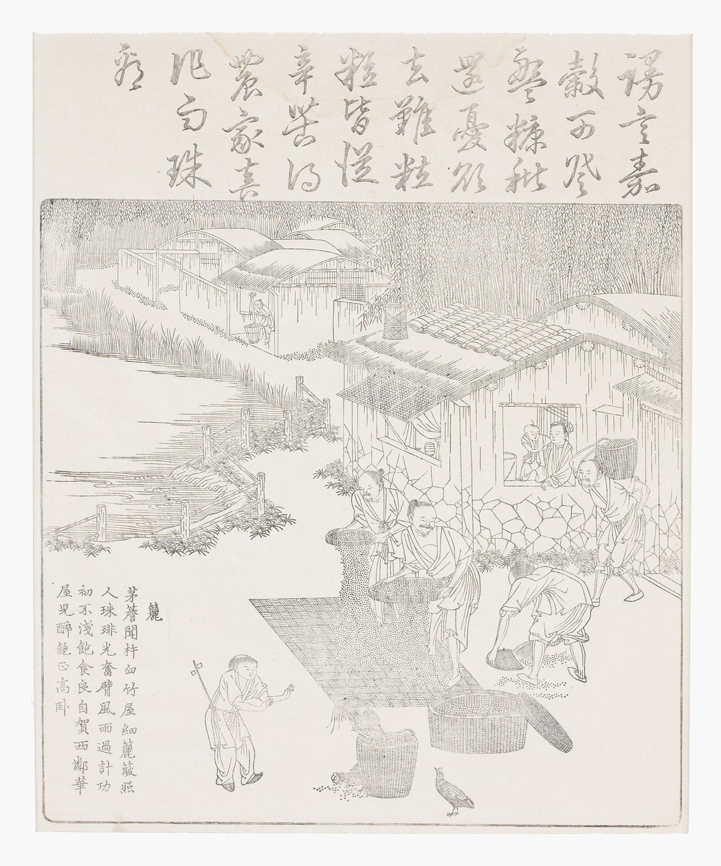 Tamiser le riz - School Chinese