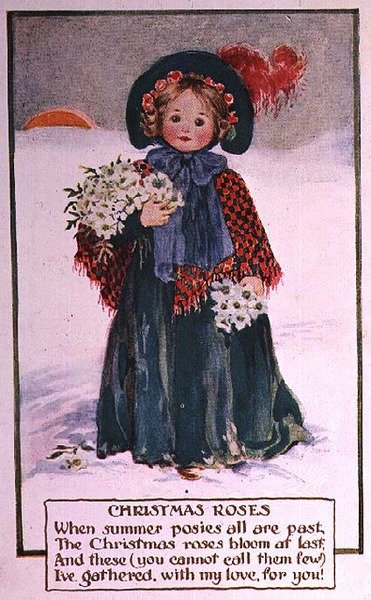Roses de Noël - School English