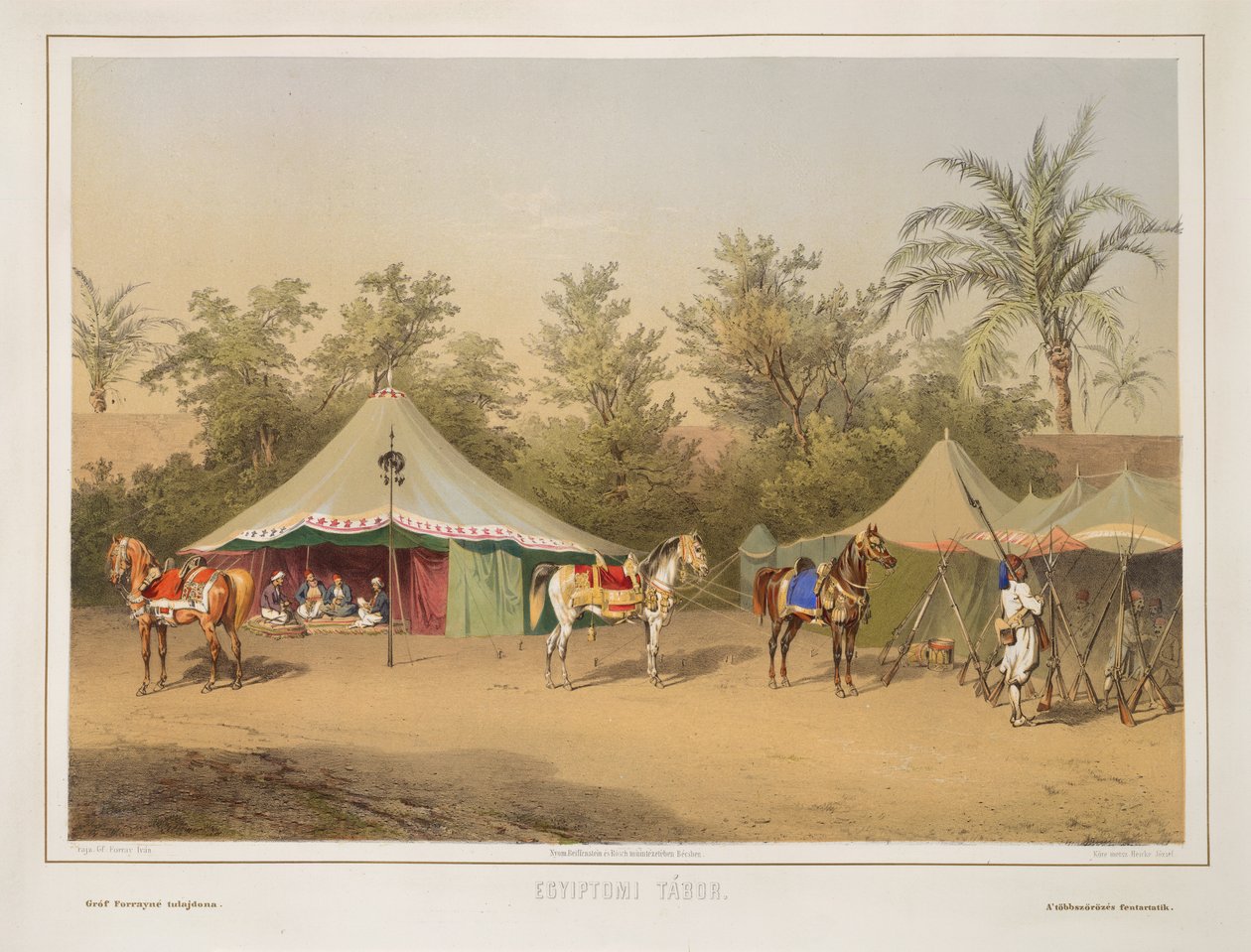 Camp en Égypte - School Hungarian