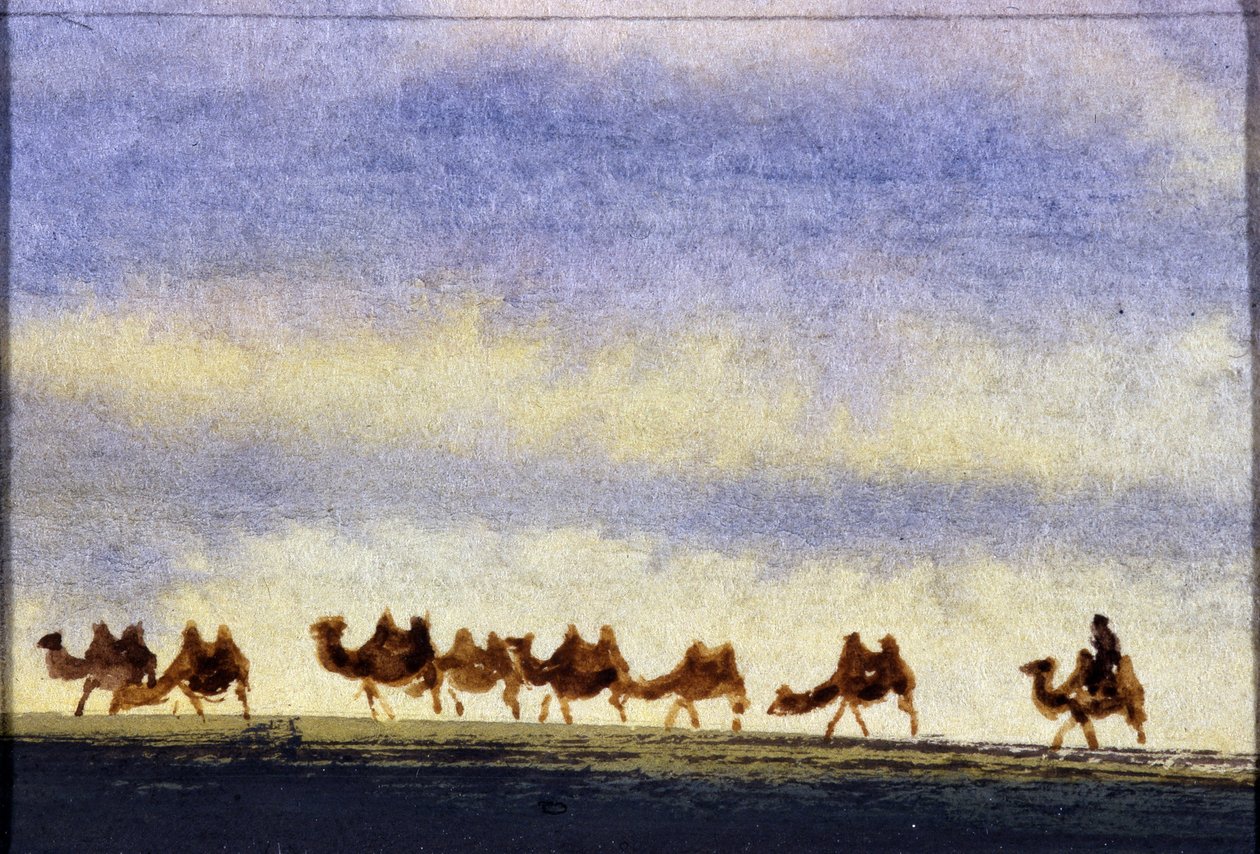 Troupeau de chameaux, Mongolie - School Mongolian