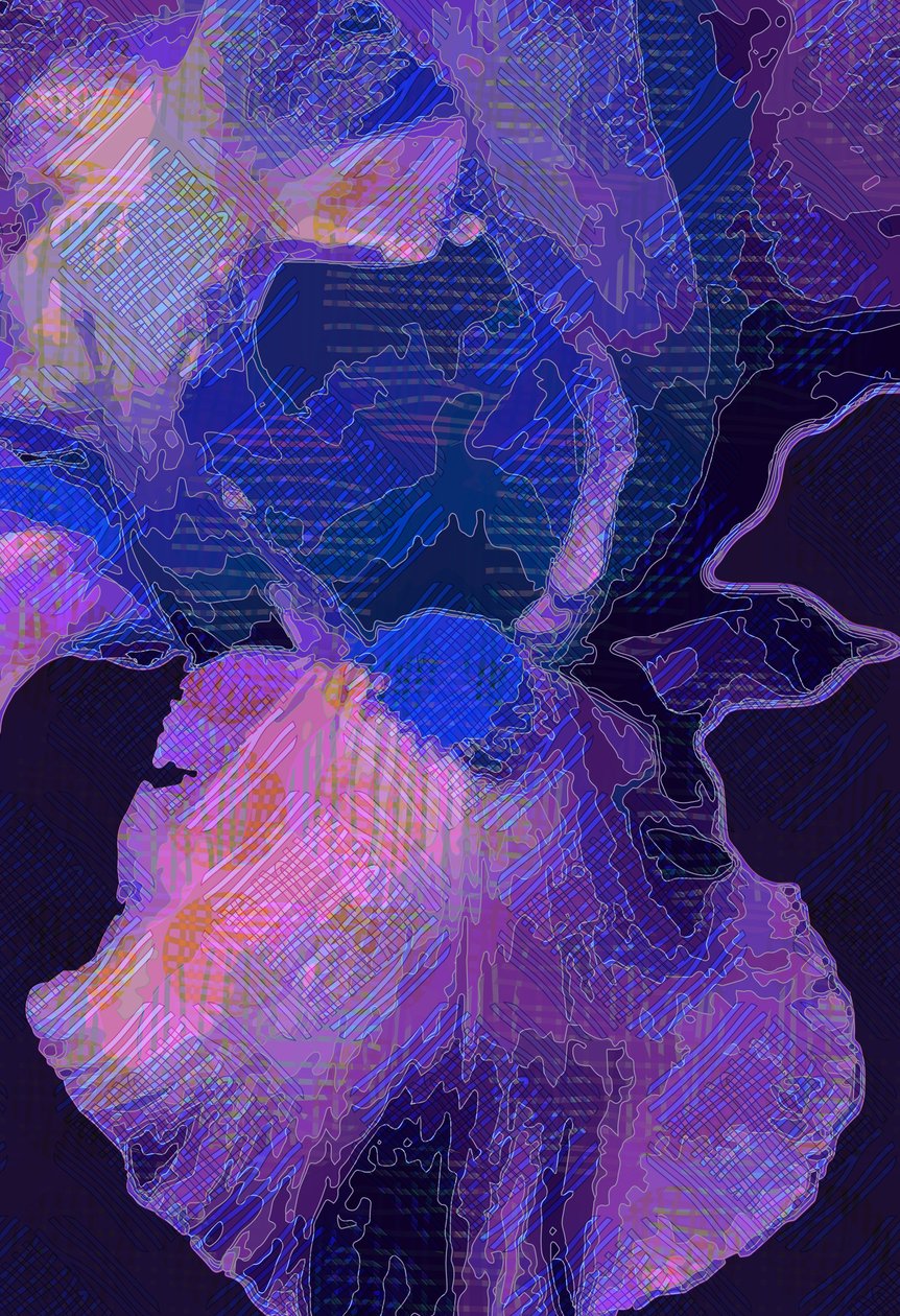 Iris bleu - Scott J. Davis
