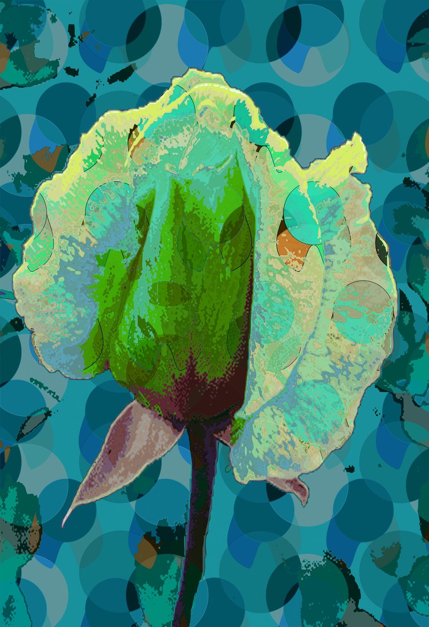 Rose thé 2 - Scott J. Davis