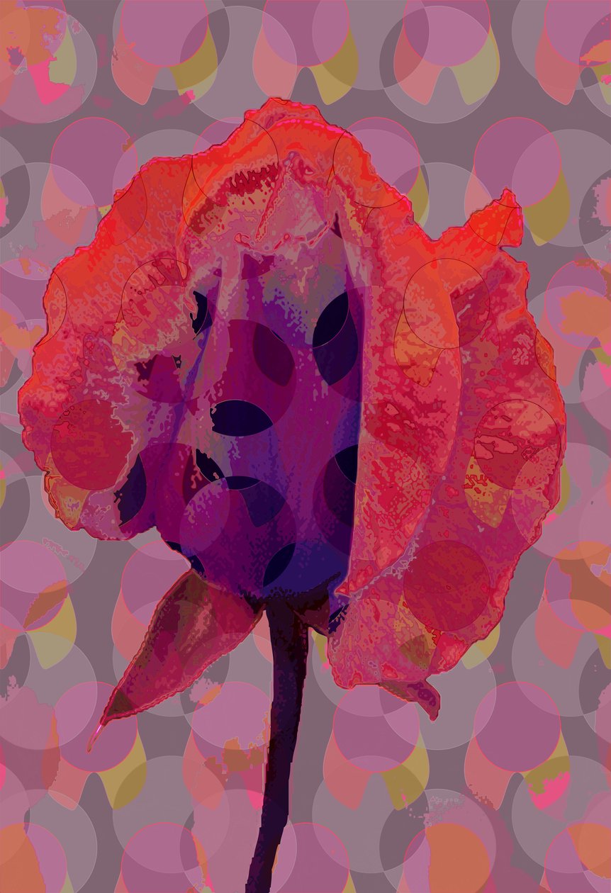 Rose de thé 3 - Scott J. Davis