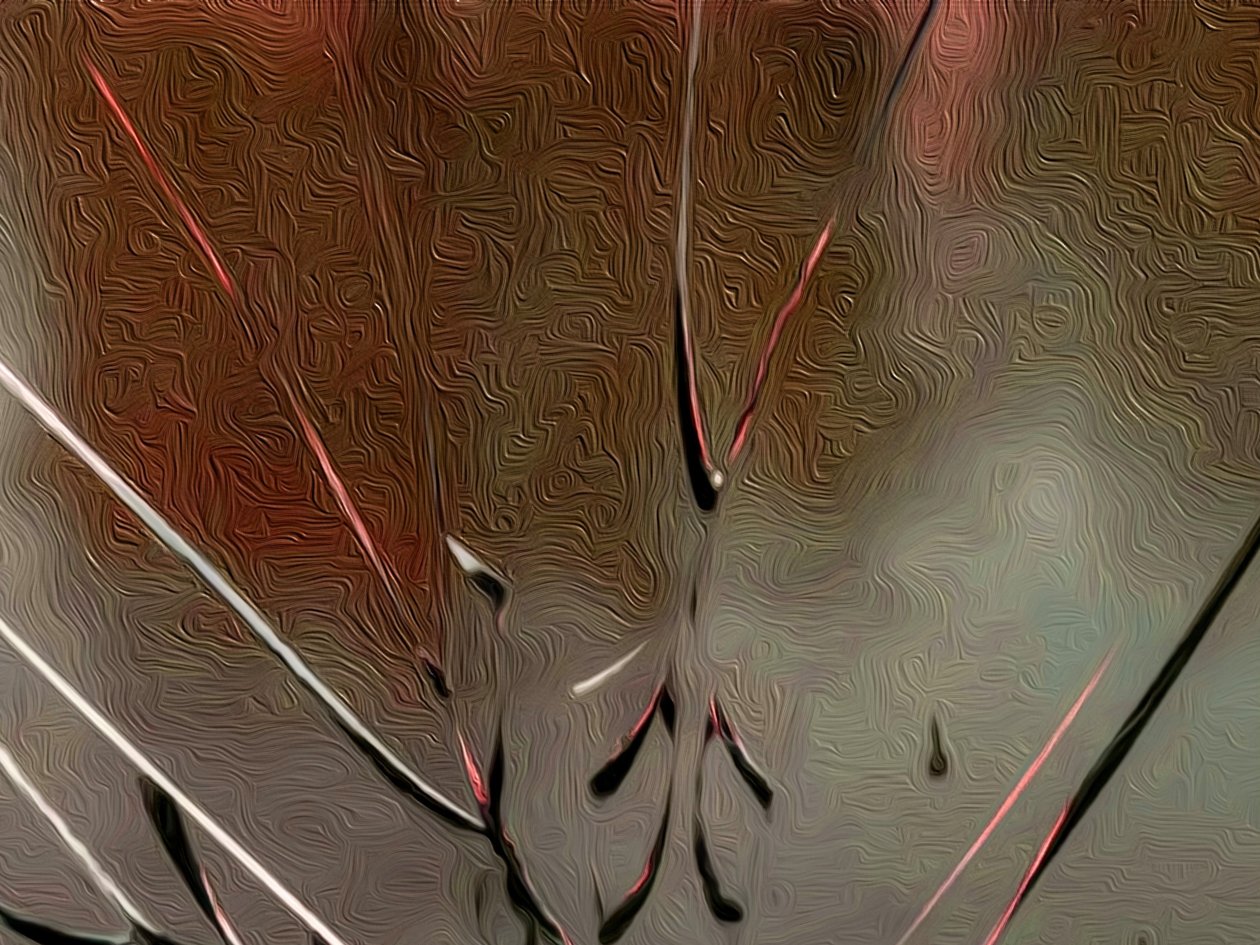 Verre - Scott J. Davis