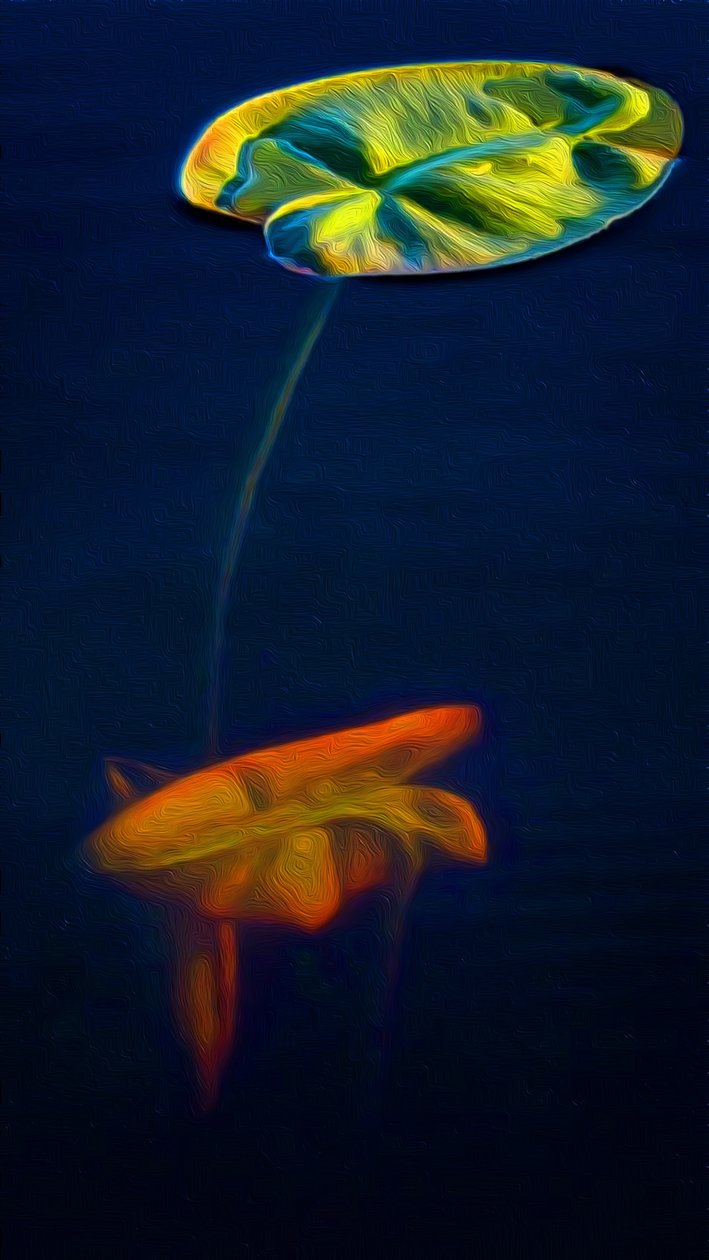 T_Lys3 - Scott J. Davis